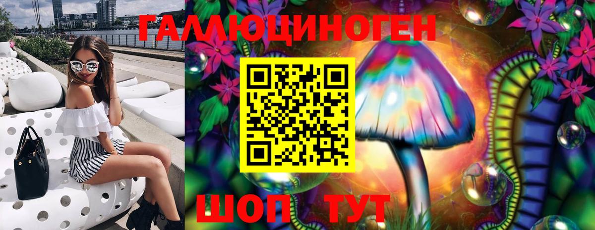 Псилоцибиновые грибы Cubensis Полысаево