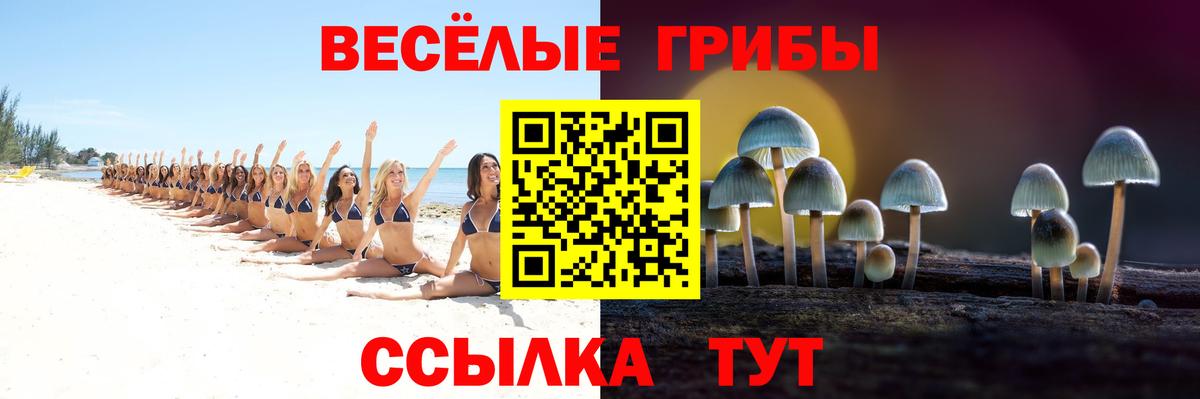 Псилоцибиновые грибы Psilocybe  Вход с VPN  Полысаево 